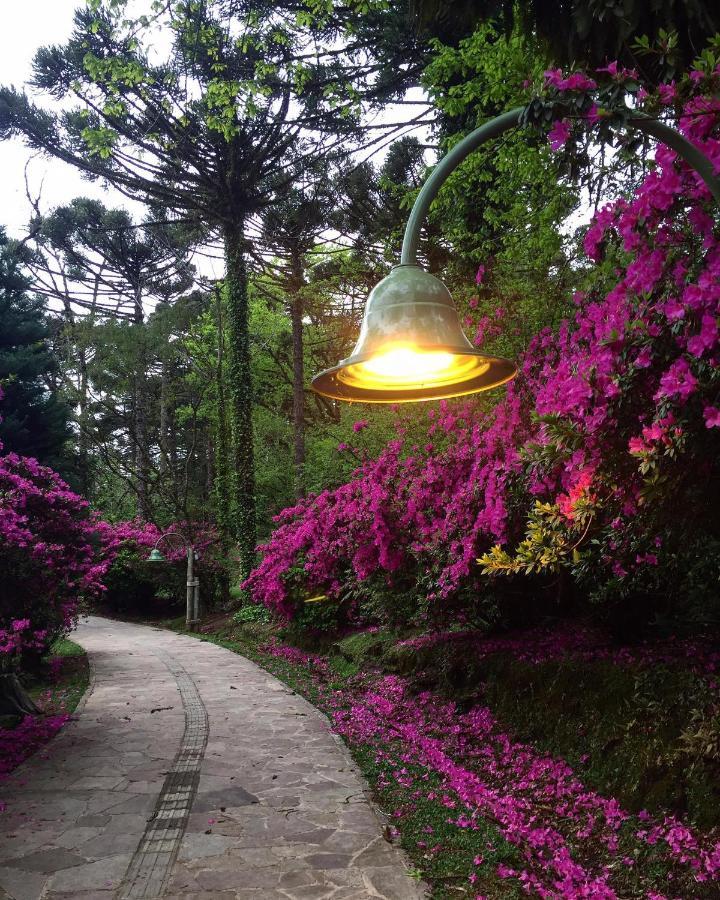 Apartamento Refúgio do Ipê em Gramado - Próximo ao Lago Negro Exterior foto